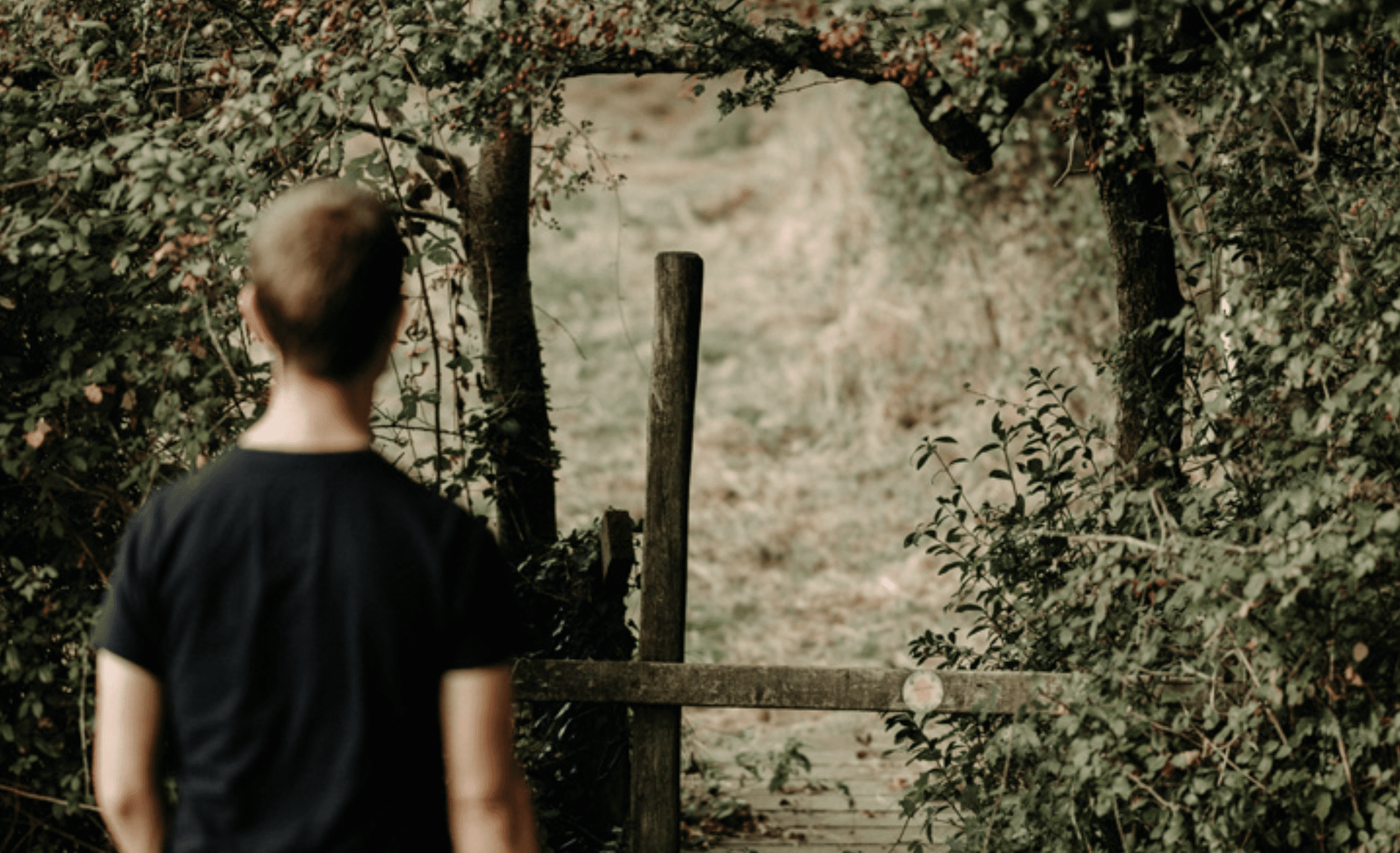 Father-heart of God Dan Cruver